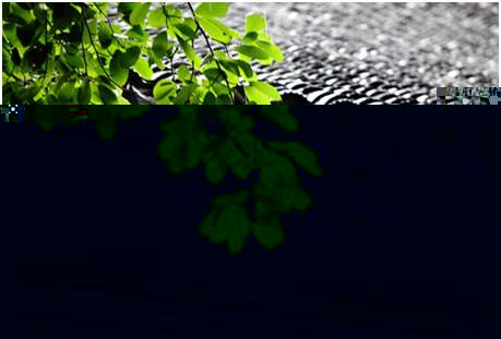 環(huán)境空氣降水中陽離子（Na+、NH4+、K+、Mg2+、Ca2+）的測(cè)定離子色譜法