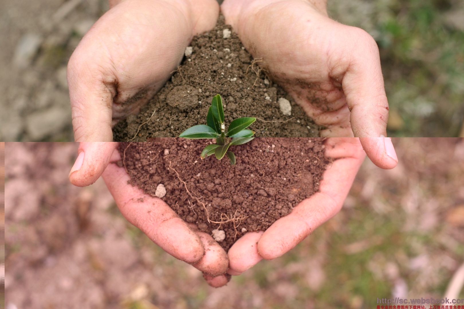 土壤和沉積物 11種元素的測(cè)定 堿熔-電感耦合等離子體發(fā)射光譜法