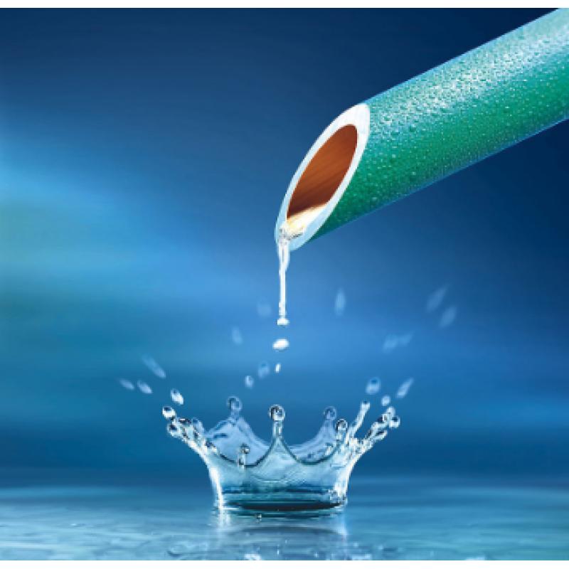 水質(zhì) 氯酸鹽、亞氯酸鹽、溴酸鹽、二氯乙酸和三氯乙酸的測(cè)定 離子色譜法