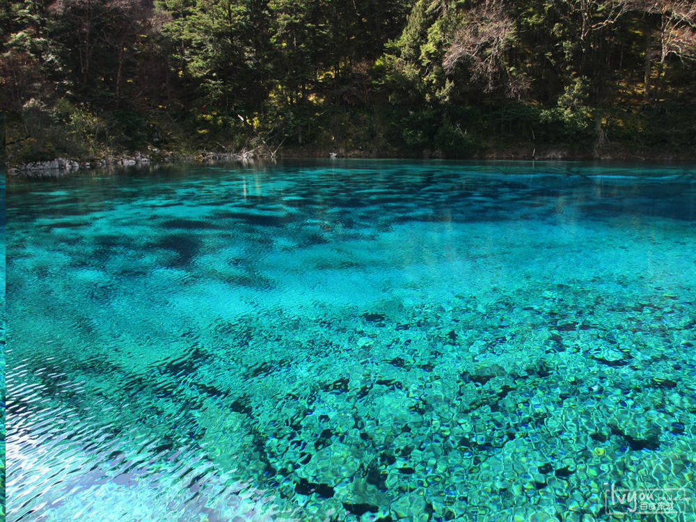 水質(zhì) 4 種硝基酚類化合物的測(cè)定 液相色譜-三重四極桿質(zhì)譜法